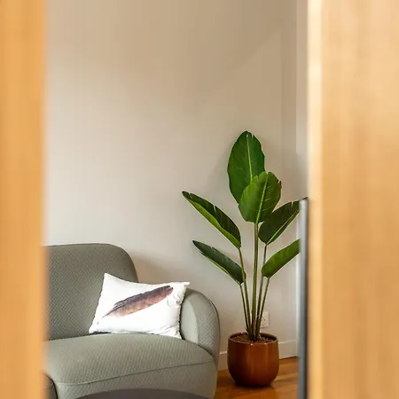 Panoramic - Superb Flat In The Heart Of The Old Town 5 Stars * Annecy